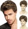 BCHR Mens Brown Wig, Short Men Wigs Natural Fluffy Cosplay Costume Synthetic Mens Wig for Male Guy Halloween.