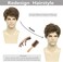 BCHR Mens Brown Wig, Short Men Wigs Natural Fluffy Cosplay Costume Synthetic Mens Wig for Male Guy Halloween.