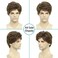 BCHR Mens Brown Wig, Short Men Wigs Natural Fluffy Cosplay Costume Synthetic Mens Wig for Male Guy Halloween.