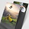 Homthy 500 Pcs Black Card Sleeves Toploaders for Trading Card, Soft Penny Plastic Card Holders Fit for MTG, Yugioh Baseball/Sports/Game Standard Cards.