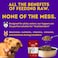 HOLI Beef Liver Dog Food Topper - Single Ingredient, Human-Grade - Freeze Dried Protein and Flavor Enhancer for Picky Dogs &ndash; Grain Free &ndash; 100% All Natural - 2oz.