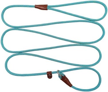 مقود BTINESFUL 7FT Slip Lead للكلاب، مقود حبل نايلون قوي، مقود تدريب للكلاب بقطر 1/41/2 بوصة للكلاب الصغيرة والمتوسطة والكبيرة (1/4 بوصة * 7 أقدام، نقطة خضراء).