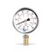 CARBO INSTRUMENTS Stainless Steel Pressure Gauge Dual Display (-30 Hg - 0-160 psi/kPa- 2 1-2" Glycerine Liquid Filled Water Air Oil Gas Gauge with Polycarbonate Lens - Compound Vacuum - 1/4" NPT.