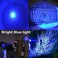 WAYLLSHINE Pack of 3 Single Mode Blue Light Flashlight, Blue LED Flashlight Torch for Night Fishing, Hunting, Observation.