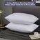 LEISUREWEEK Premium Queen Pillowcases 4 Pack - White Standard - Ultra Soft 1800 Thread Count Hypoallergenic Microfiber- Double Brushed - Allergies Free - Wrinkle Resistant Pillowcase Set.