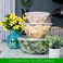 PLASTICPRO Disposable 48 Ounce Round Crystal Clear Plastic Serving Bowls With Lids, Party Snack or Salad Bowl, Chip Bowls, Snack Bowls, Candy Dish, Salad Container Pack of 2.
