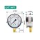 ELECALL 2-1/2" Glycerin Liquid Filled Air Pressure Gauge, 0-60Psi, 1/4&rdquo;NPT Lower Mount, Stainless Steel Case, Brass Internals, Water Pressure Gauge.