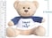 Hug-a-BooBoo Super Cute and Cuddly 6 Inch Plush Mini Teddy Bear from with Need a Hug. Message T-Shirt. Great for Gift, Gift Basket.