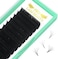 PRO LASHBEAUTY Easy Fan Volume Lashes D-0. 10-9 Volume Lash Extensions Rapid Blooming Lashes 9 to 20 mm Mega Volume Lash Extensions C D curl Flowering Lash Extensions Rapid Blooming Eyelash Extensions