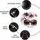 FEISEDY Women Oversized Polarized Sunglasses Ladies Large Shades Classic Fox Sunglasses B2730.