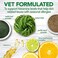 مكملات غذائية للكلاب من Vet's Best Seasonal Allergy Soft Chew تهدئ تهيج جلد الكلاب الناتج عن الحساسية الموسمية وتحافظ على مستويات الهيستامين تكفي لمدة 90 يومًا.