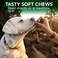 مكملات غذائية للكلاب من Vet's Best Seasonal Allergy Soft Chew تهدئ تهيج جلد الكلاب الناتج عن الحساسية الموسمية وتحافظ على مستويات الهيستامين تكفي لمدة 90 يومًا.