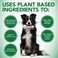 مكملات Vet's Best Healthy Coat ShedItch Relief للكلاب، تخفف من تهيج الجلد وتساقط الشعر لدى الكلاب بسبب الحساسية الموسمية أو التهاب الجلد، 150 قرصًا للمضغ، أبيض، 150 قرصًا (عبوة من 1).