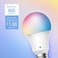 Kasa Smart by TP-Link Light Bulbs, Full Color Changing Dimmable Smart WiFi Bulbs Compatible with Alexa and Google Home, A19, 9W 800 Lumens,2. 4Ghz only, No Hub Required, 2-Pack (KL125P2, Multicolor.