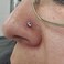 PunkTracker 16G Gewindelos Lippen Ringe Tragus Ohrringe Chirurgenstahl Helix Conch Knorpel Ohrringe Monroe Piercing Schmuck fr Damen Herren Labret Ohrstecker.