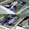 HOSTEESSCHOICE Beautiful Art Postcards set of 30 Pierre Auguste Renoir Post card variety pack Famous Painting Scenery,4 x 6 Inches.