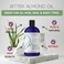 Dr Joe Lab Pure Bitter Almond Oil - 16 oz - 100% Pure, All Natural, Organic Sourced, Non-GMO, Bulk Carrier Oil - for Skin, Hair, Body, Nails, Face, ArmsLegs - Hydrates, Nourishes, Moisturizes.