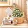 ECOVENIK Season 2023 - Natural Branches Dry for a Sauna Accessories for Banya 100% Handmade (Made in Europe.