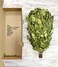 ECOVENIK Season 2023 - Natural Branches Dry for a Sauna Accessories for Banya 100% Handmade (Made in Europe.