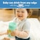Dr. Brown's Brown s Milestones Cheers 360 Sippy Training Cups for Babies and Toddlers - Blue/Green - 10oz - 2-Pack - 9m.