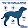 Hartz UltraGuard Dual Action FleaTick Topical DogsPuppies TreatmentPrevention, 6 Months, 60lbs.