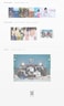 Import BTS BE ESSENTIAL EDITION [K-pop Display Album].