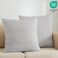 PHF 100% Cotton Waffle Weave Euro Sham Covers, 2 Pack 26" x 26" Pillow Covers for Elegant Home Decorative, No Insert, Decorative Euro Throw Pillow Covers for Bed Couch Sofa, Light Grey.