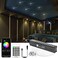 مجموعة أضواء الألياف الضوئية CHINLY Meteor 3W 96 قطعة 0.03 بوصة 9.8 قدم بلوتوث 12LEDs مع جهاز تحكم عن بعد/تطبيق كابل مقسم طاقة DC للسيارة/المسرح المنزلي (تأثير الشهاب فقط).