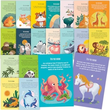 T MARIE 40 Animal Fun Fact Postcards - Bulk Thinking of You Postcard Pack for Kids, Students, Friends, Teacher, and More - Say Hello, Thank You or I Miss You with Colorful Note Cards.