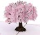 Lovepop Everyday Pop-Up Card for Her and Him- 3D Thinking of You Greeting Cards for Boys, Girls, Men, Women - 5" x 7" Cherry Blossom - Blank Note CardEnvelope Included.