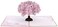 Lovepop Everyday Pop-Up Card for Her and Him- 3D Thinking of You Greeting Cards for Boys, Girls, Men, Women - 5" x 7" Cherry Blossom - Blank Note CardEnvelope Included.