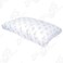MyPillow Premium Series Bed Pillow [Std/Queen, White Medium Fill].