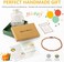 Cici's Story Baltic Amber Necklace (Cognac- 100% Certified Authentic Baltic Amber.