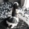 mzenuop BABKAS, Maid Dresses Halloween Maid Outfit Cosplay Sweet Classic Lolita Apron Maid Dress with Socks.