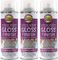 Aleene's Spray 6 oz. 3 Pack Acrylic Sealer, Clear-Gloss 3 Count.