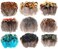 MWOOT 9 Styles Assorted Crafts Feathers, 180Pcs DIY Dreamcatcher Crafts Art Decor Feathers, DIY Earring Wings Carnival Party Mask Activities Project Accessories Small Feather - Mixed Green Blue Brown.