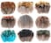 MWOOT 9 Styles Assorted Crafts Feathers, 180Pcs DIY Dreamcatcher Crafts Art Decor Feathers, DIY Earring Wings Carnival Party Mask Activities Project Accessories Small Feather - Mixed Green Blue Brown.