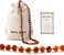 Cici's Story Baltic Amber Necklace (Cognac- 100% Certified Authentic Baltic Amber.