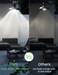 مصابيح إضاءة بمستشعر حركة من OHLUX، 13 واط 1000 لومن، مصباح أمان LED فائق السطوع A60، E27 AC100-240V، إضاءة تعمل بالحركة، عبوة من قطعتين.