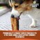 Pet Craft Supply Buffalo Marrow Bones Dog Chews Treats for Aggressive Chewers Long Lasting Rawhide Free Premium Slow Roasted 3 Pack.