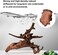 majoywoo Natural Coral Driftwood for Aquarium Decor Fish Tank Decorations, Assorted Driftwood Branch 6-10" 3 Pcs, Reptile Decor&hellip;.