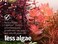 THE 2HR AQUARIST All-in-one Plant Fertilizers APT 3 / Complete (500ml.