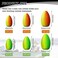 Skylety 60 Pieces Foam Floats Bullet Fishing Foam Snell Floats Fishing Rig Floats Spinner Rig Floats Pompano Rigs Floats Oval Fly Fishing Strike Indicators for Trout Catfish Walleye.