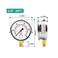 ELECALL 2-1/2&rdquo; Glycerin Filled Pressure Gauge, 0-100Psi, 1/4&rdquo;NPT Lower Mount, Stainless Steel Case, Brass Internals, Water Pressure Gauge.