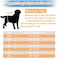 Langsprit Male Belly Bands for Dogs (Pack of 3- High Absorbing Dog Wraps Male Washable - Reusable Male Dog Diapers (Black,Gray,Coffee, XX-Large.