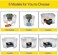 LFSEMINI 10/12/14/16 Plates Stove Windscreen, Aluminum Stove Windshield with Drawstring Bag, for Camping, Butane Stoves(10 Plates.