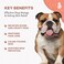 BestLife4Pets علاج الجرب الدويدي للكلاب - علاج طبيعي بالكامل لشعر صحي وحكة الجرب عند الجراء، والجرب الكلبي، وقشرة الرأس عند المشي على أقراص الجلد.