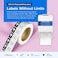 Zebra ZSB Series - ZSB Labels, Recyclable Label Cartridge - ZSB-LC4 Mailing Labels - 2. 25 x 4 Inch.