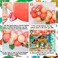 FHzytg Tropical Balloon Garland Arch Kit, Hawaii Luau Balloon Garland with Palm Leaves Plumeria for Tropical Party Decorations Aloha Luau Party Summer Baby Shower Kids Birthday Decorations.