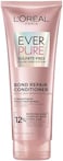 L&rsquo;Or&eacute;al Paris L'Oreal Bonding Conditioner for Color Treated Hair, Strengthen and Repairs Weak Hair Bonds, Sulfate FreeVegan Hair Care, EverPure, 6. 8 Fl Oz.